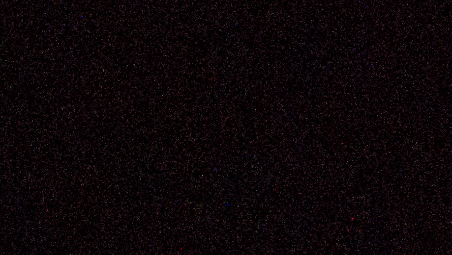 iso 25600 - crop - 0EV.jpg