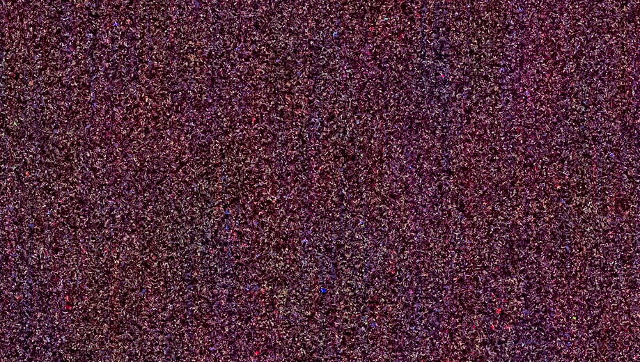 iso 25600 - crop - +5EV.jpg