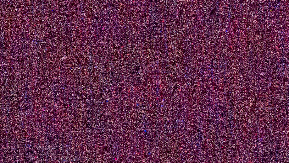 iso 6400 - crop - +5EV.jpg
