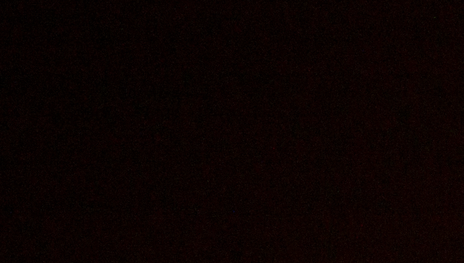iso 80 - crop - +5EV.jpg