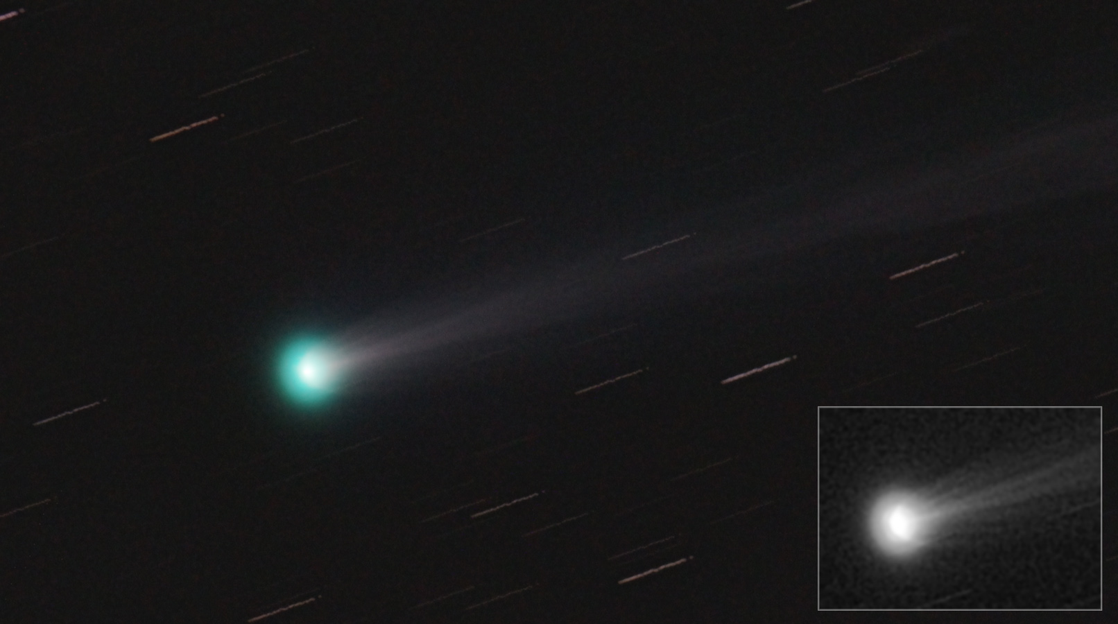 ISON_Max_head.jpg