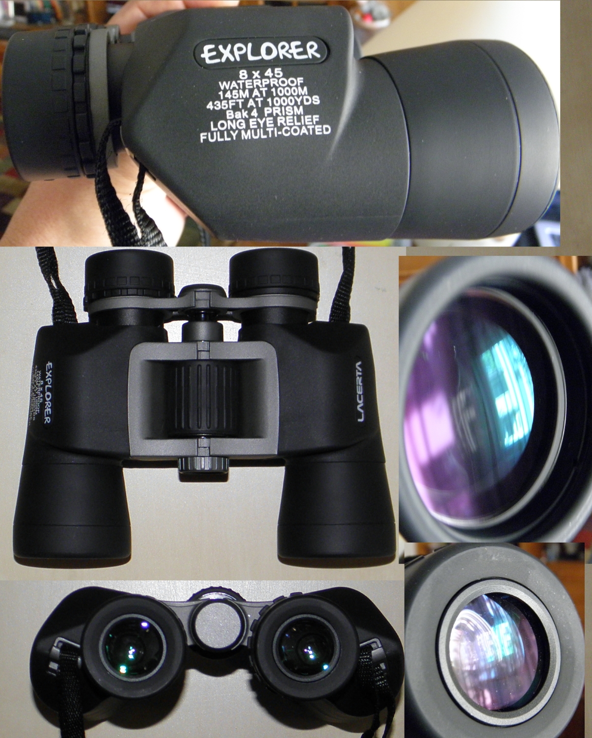 Lacerta8x45mic.jpg