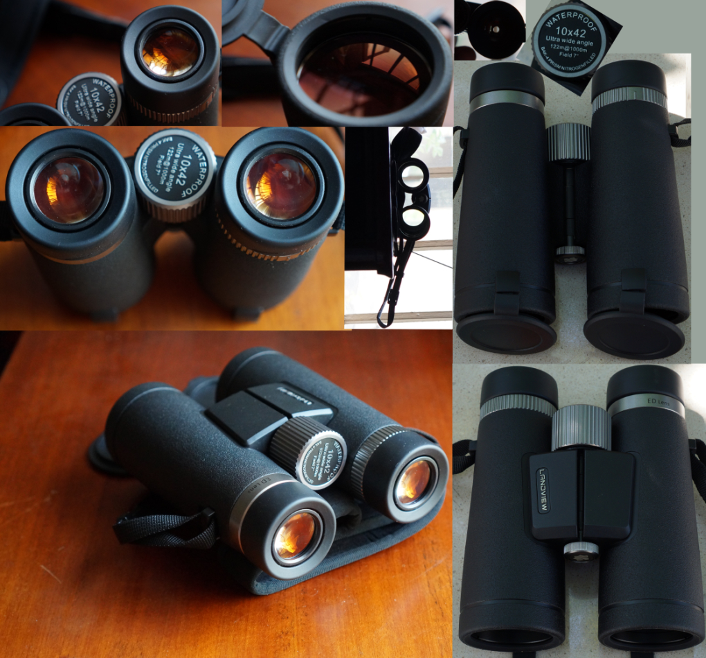 landview10x42EDmic.jpg