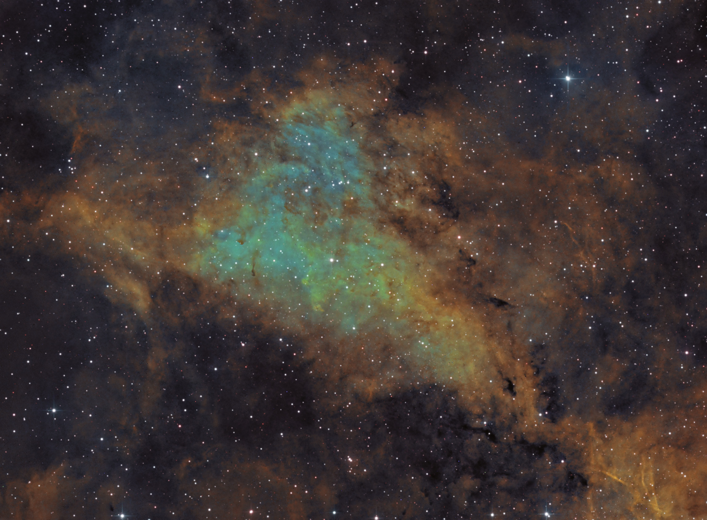 LBN 251_SHO.jpg