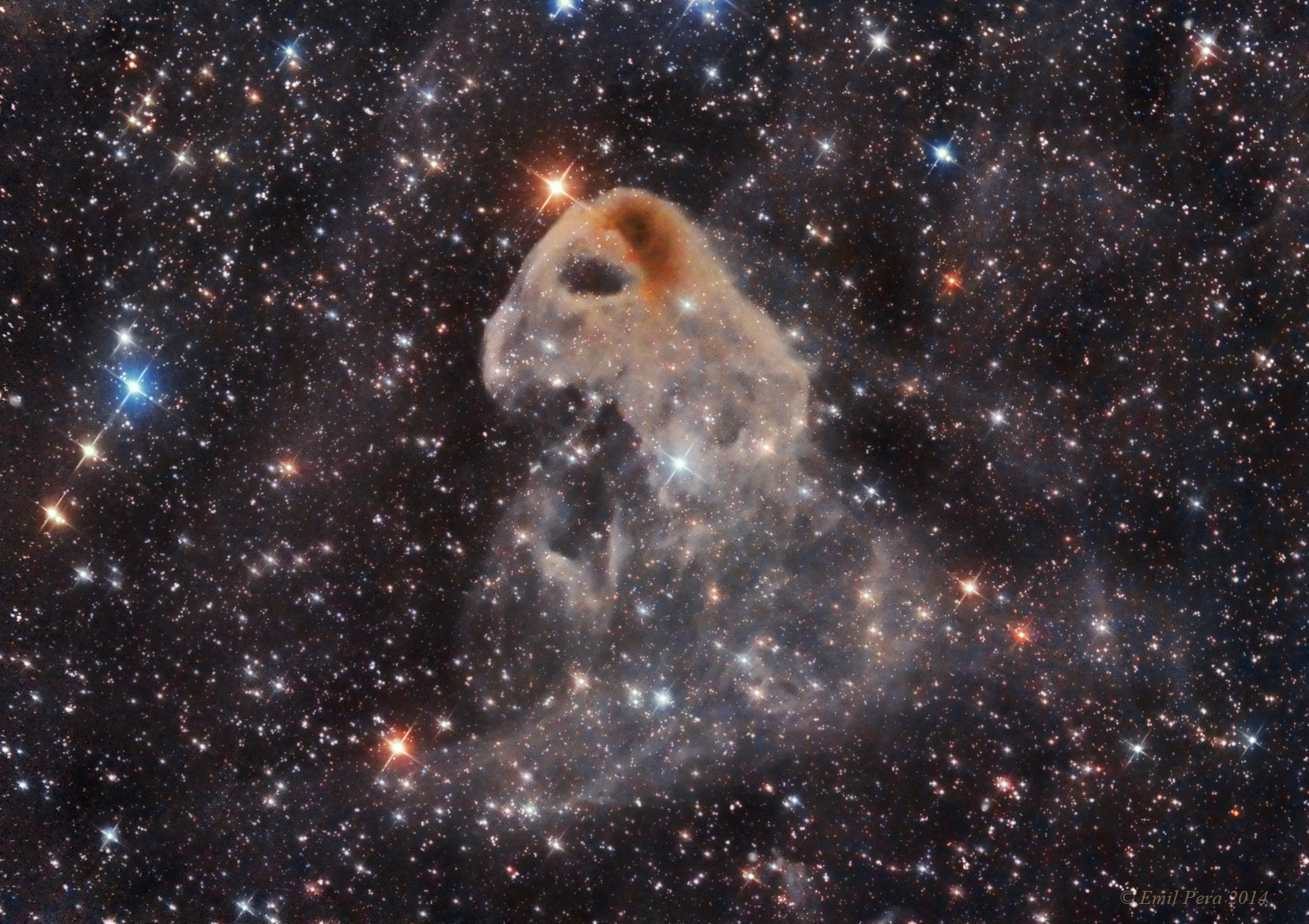 LBN 77_pera_2014.jpg
