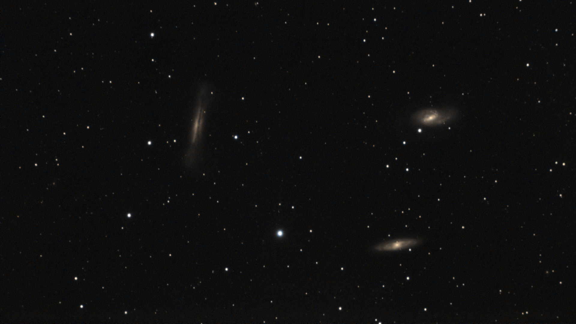 Leo triplet.jpg