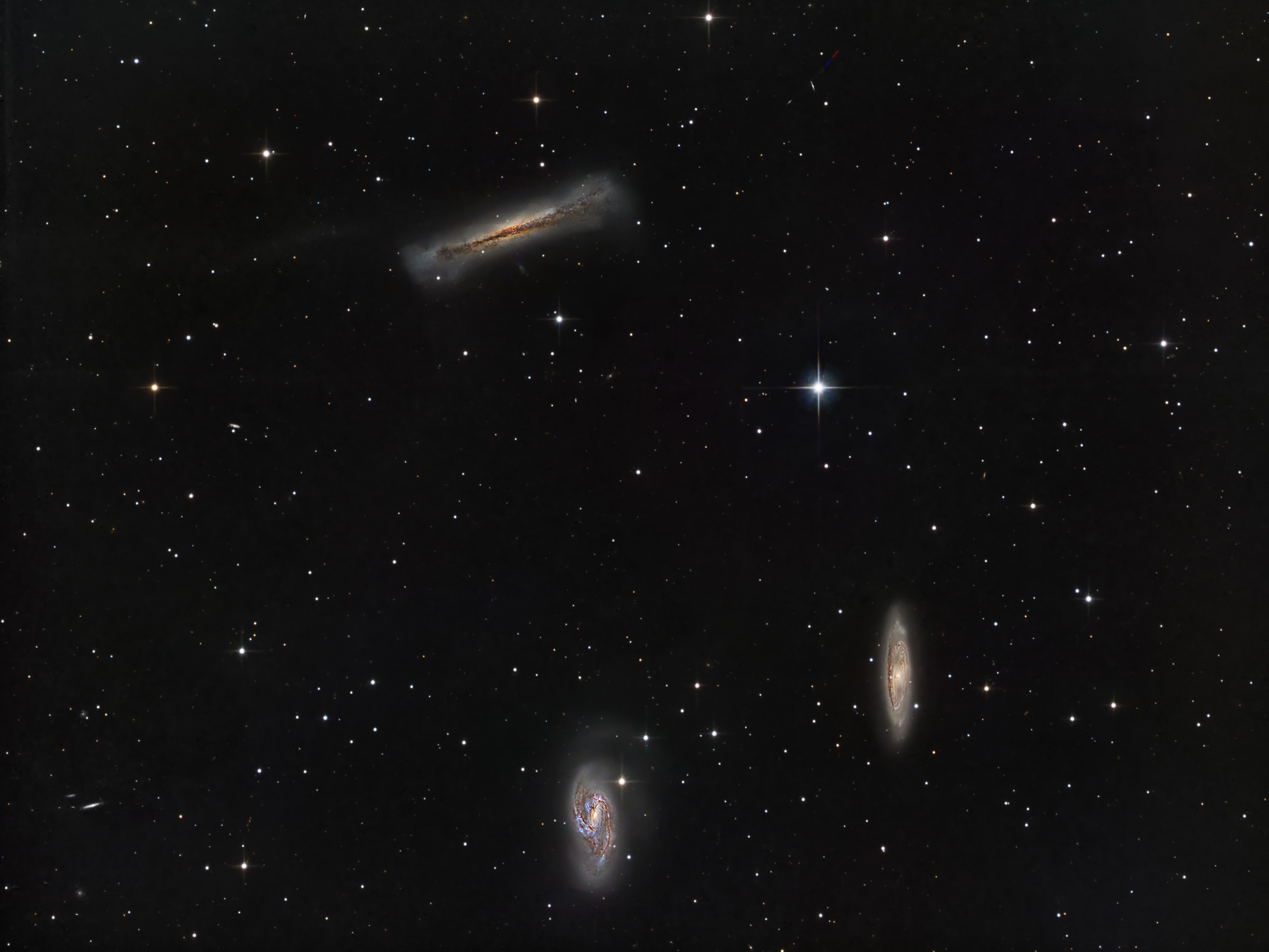 Leo Triplet_repro07.jpg