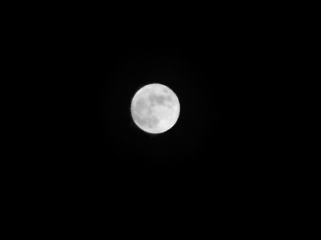 Luna.10.02.17.DSCN4539 - Copia.JPG