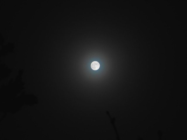 Luna.10.02.17.DSCN4585.JPG
