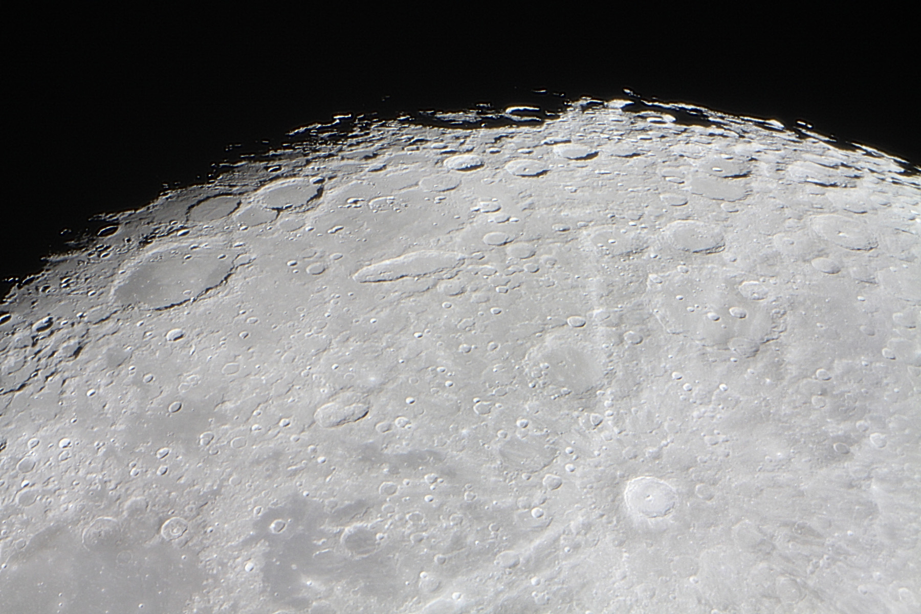 Luna 29x.jpg