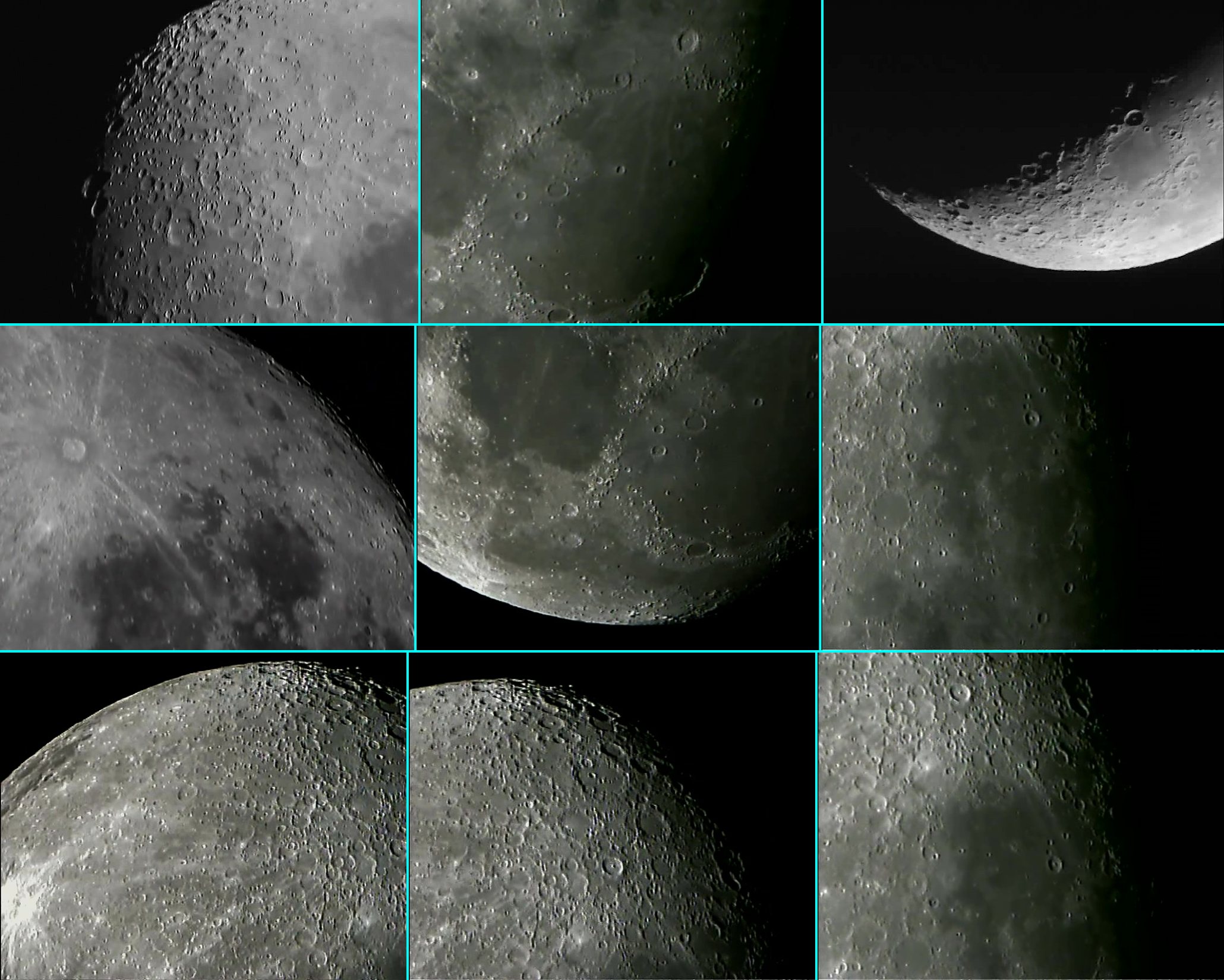 Luna - CCTV.jpg