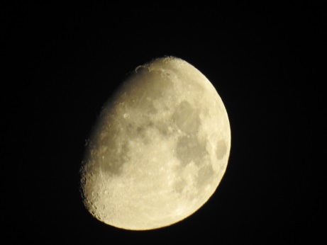 Luna Coolpix P 900 Martie 2019.JPG