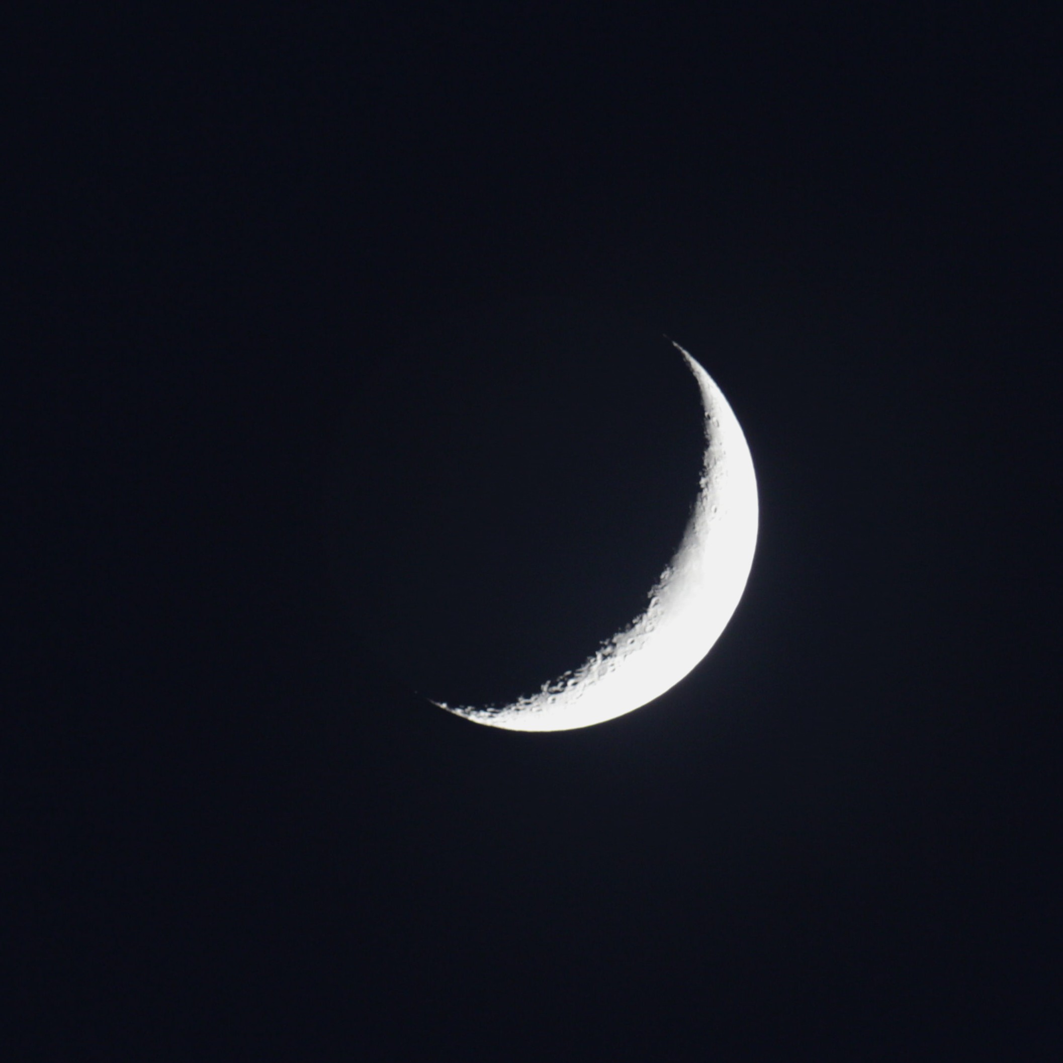 Luna solo.jpg