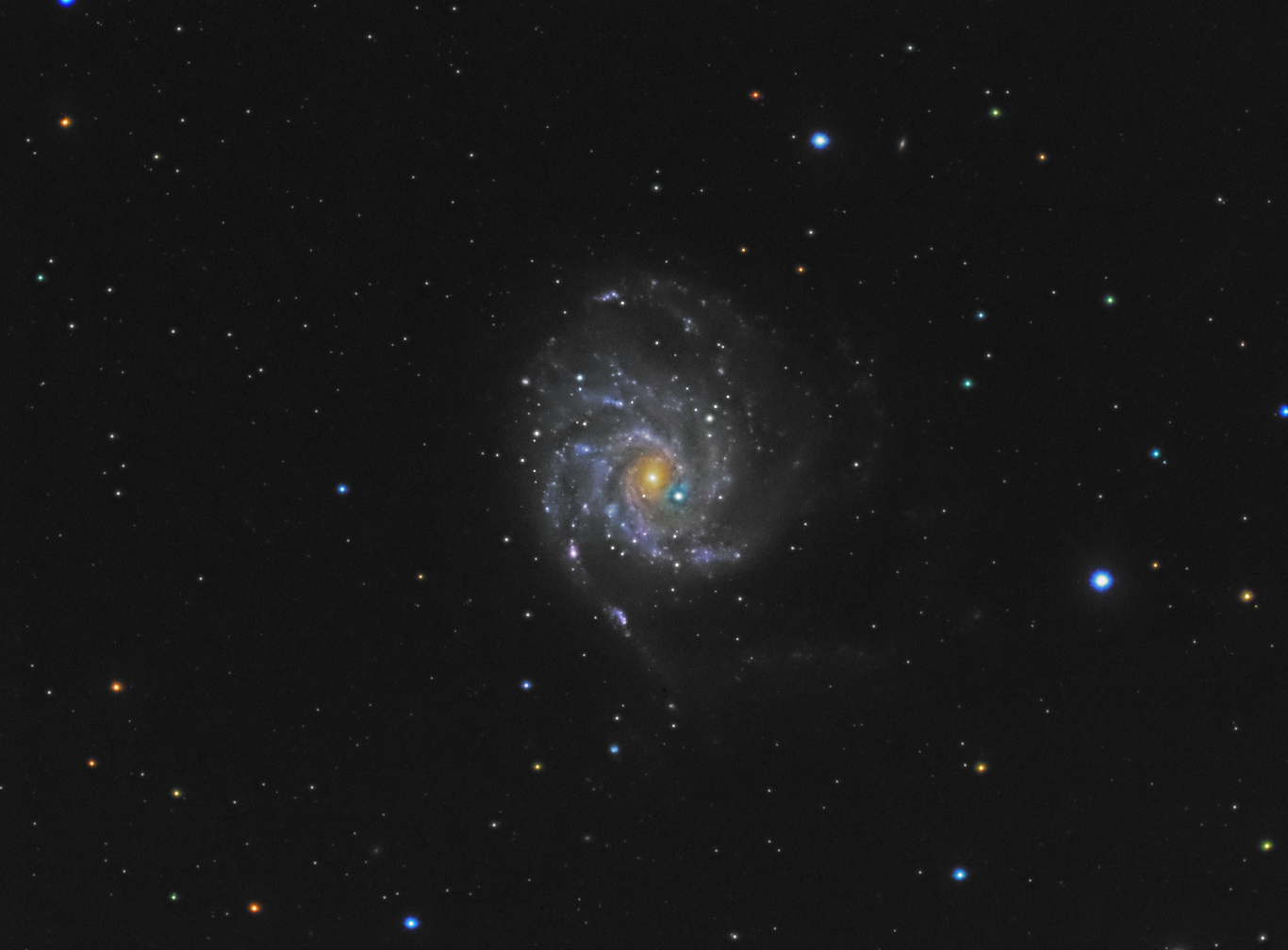 M101-Bosma.jpg