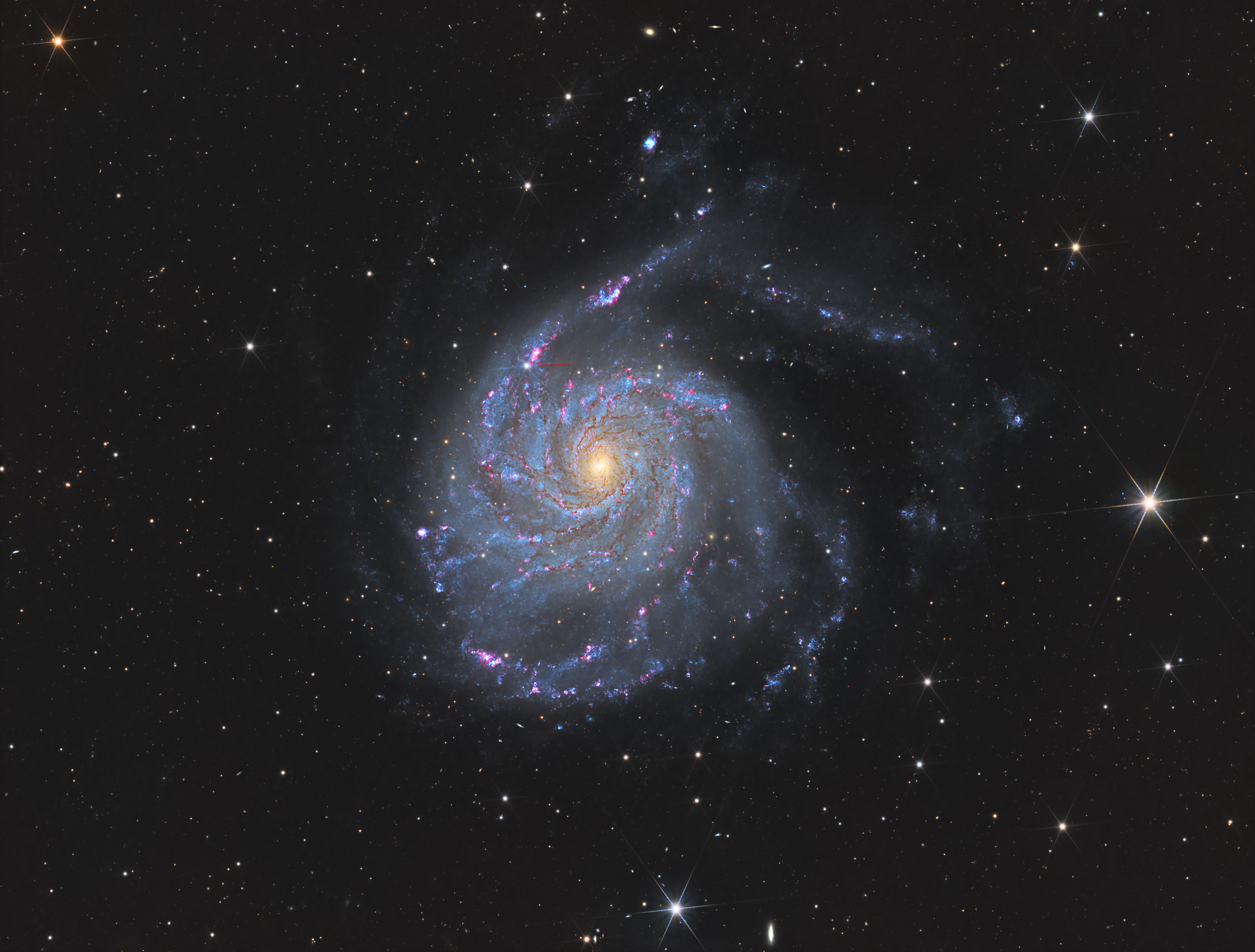 M101_Pinwheel Galaxy_HaRGB_v3.jpg