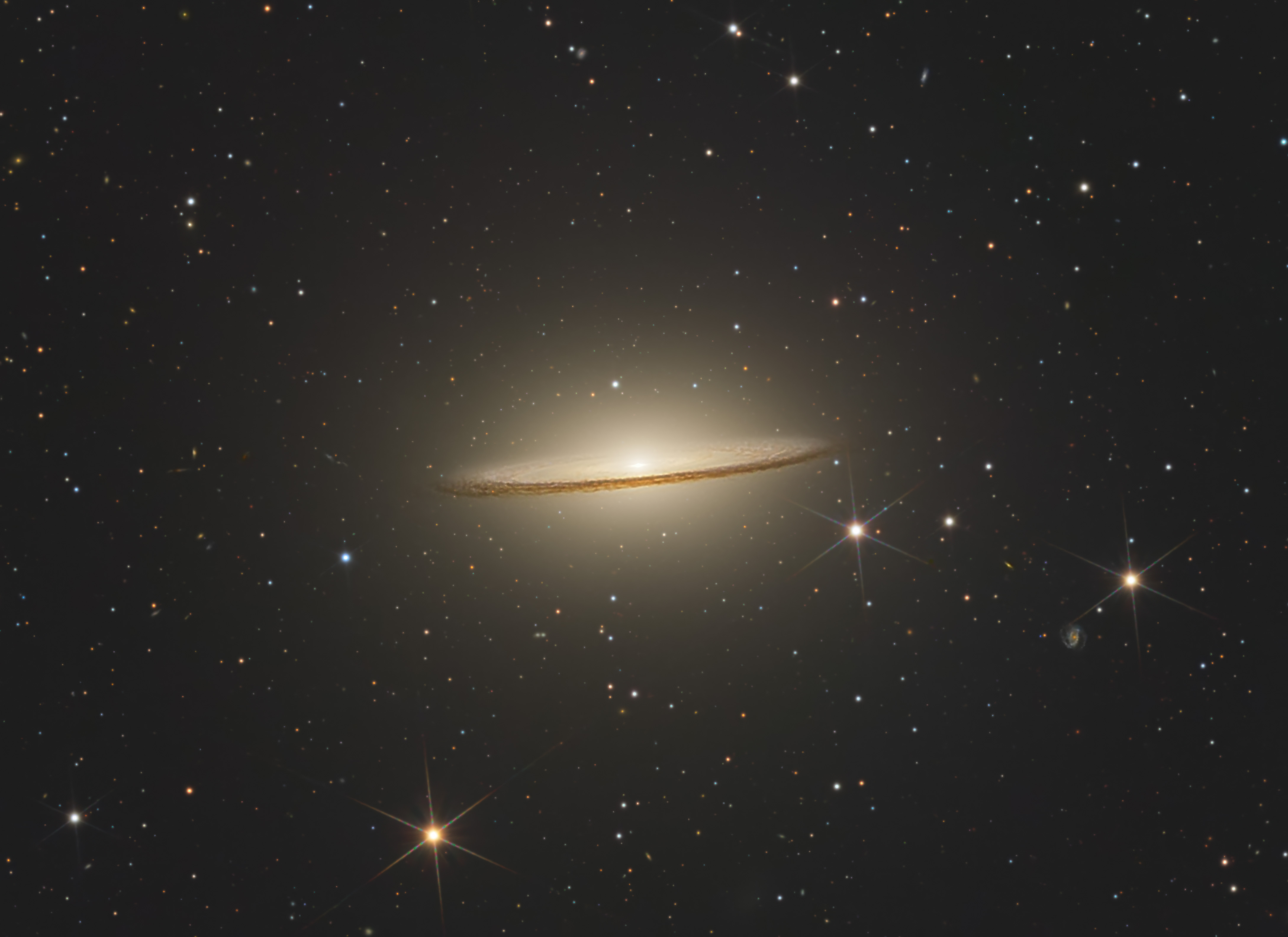 M104_MOANA files_crop_x2.jpg