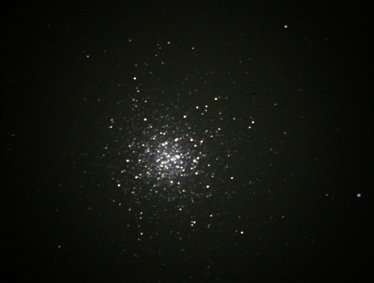 M13-1.jpg