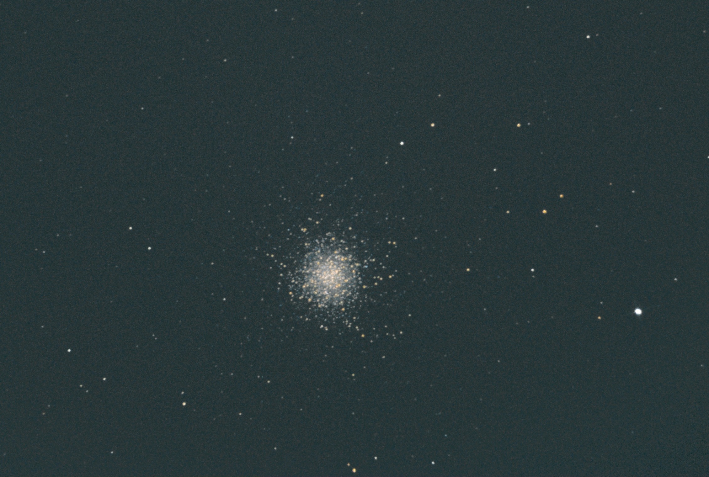M13.resize.jpg