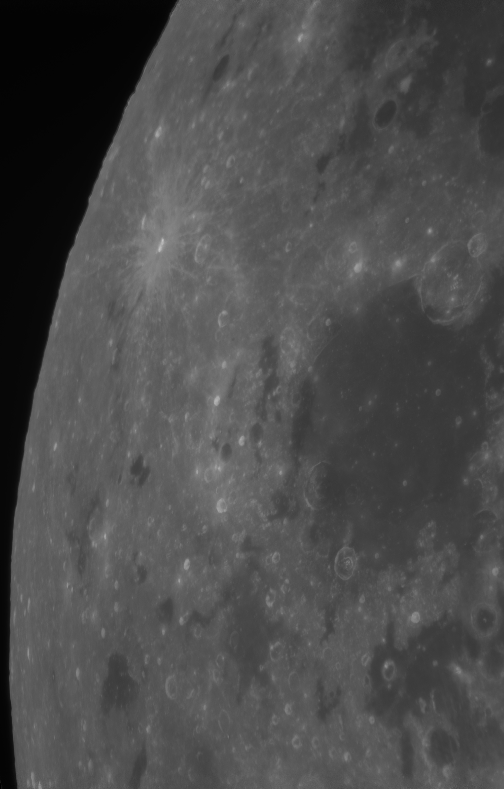 m1.jpg
