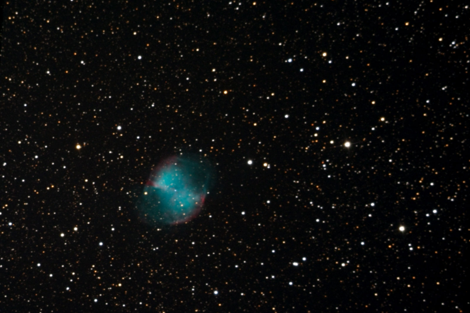 M27 dumbbell 31-66-39.jpg