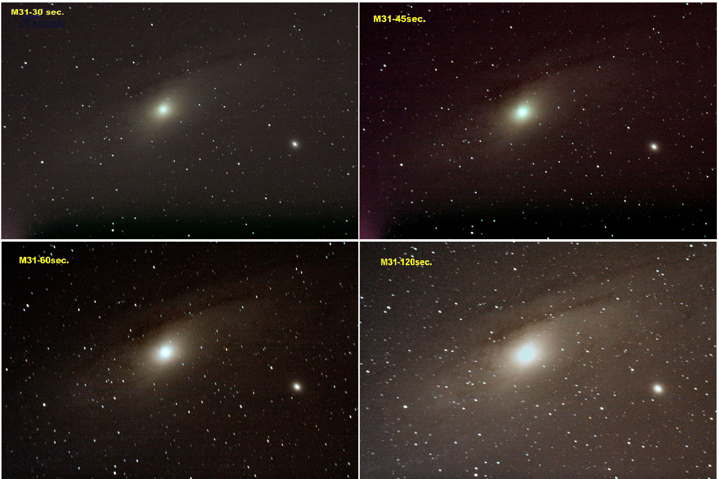 M31-4ex.jpg