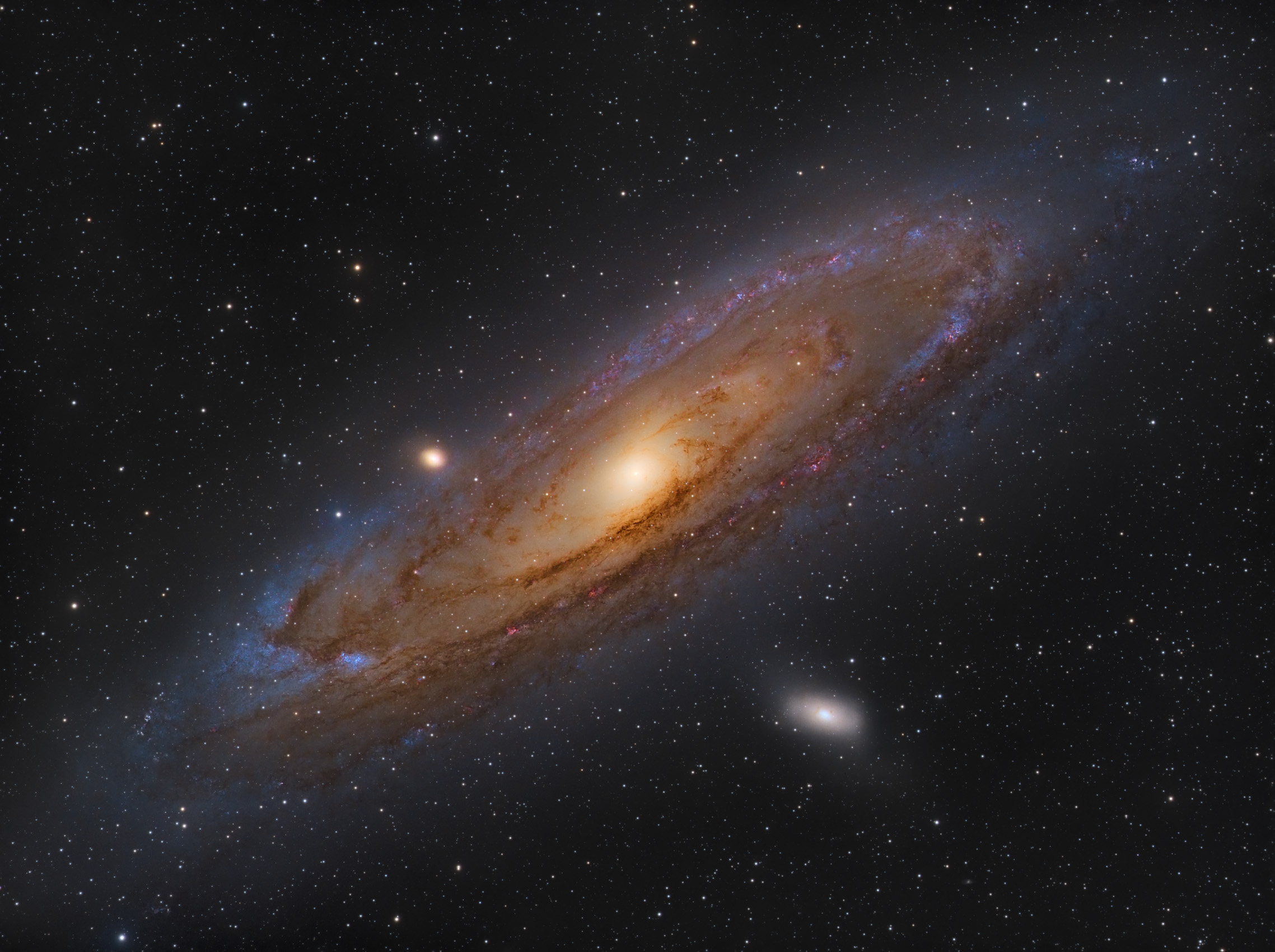 M31_Andromeda Galaxy_repro05.jpg