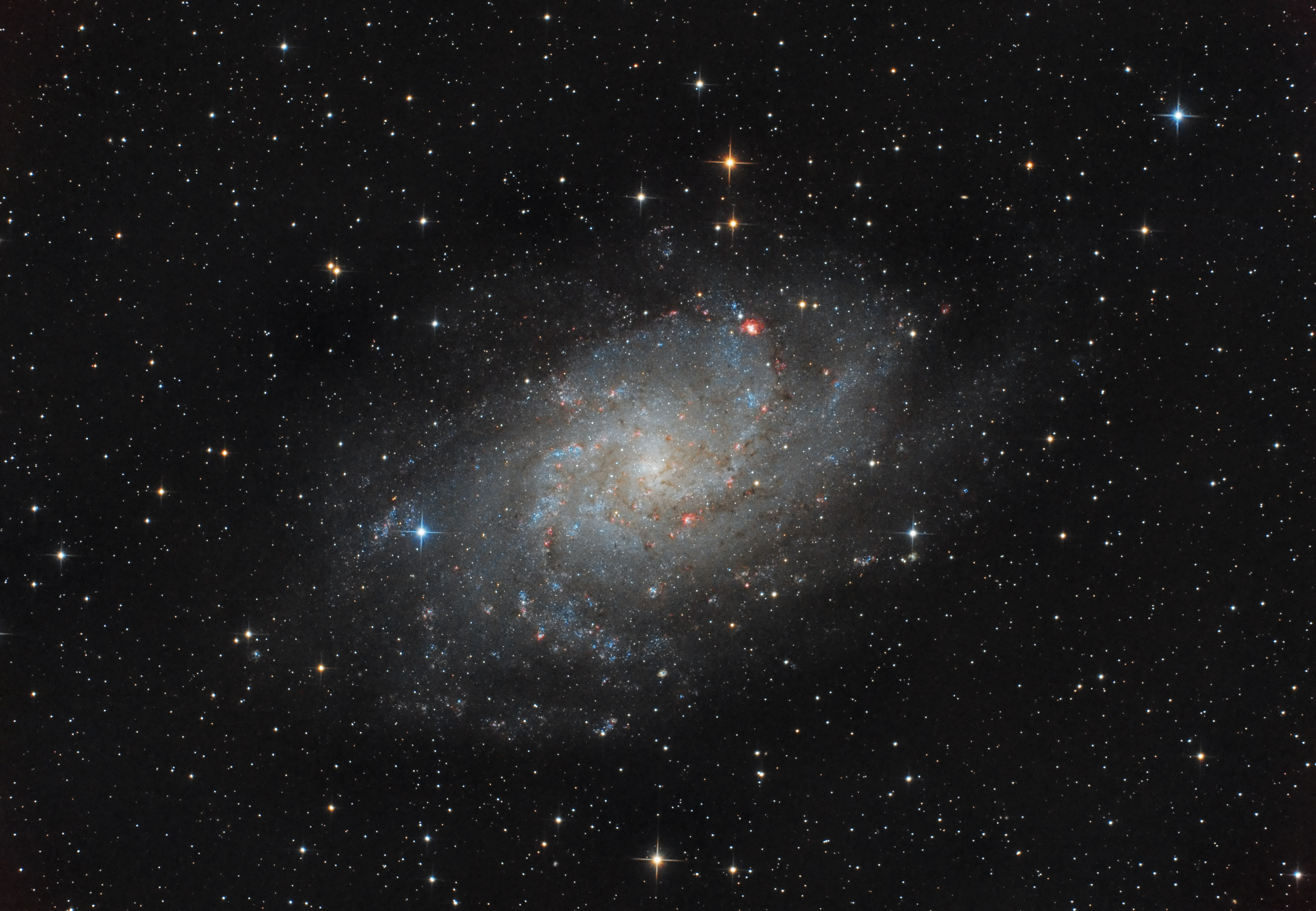 M33_50x5m_ASI294_v2.jpg