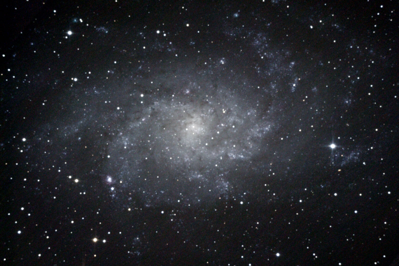 M33 Triangulum.jpg