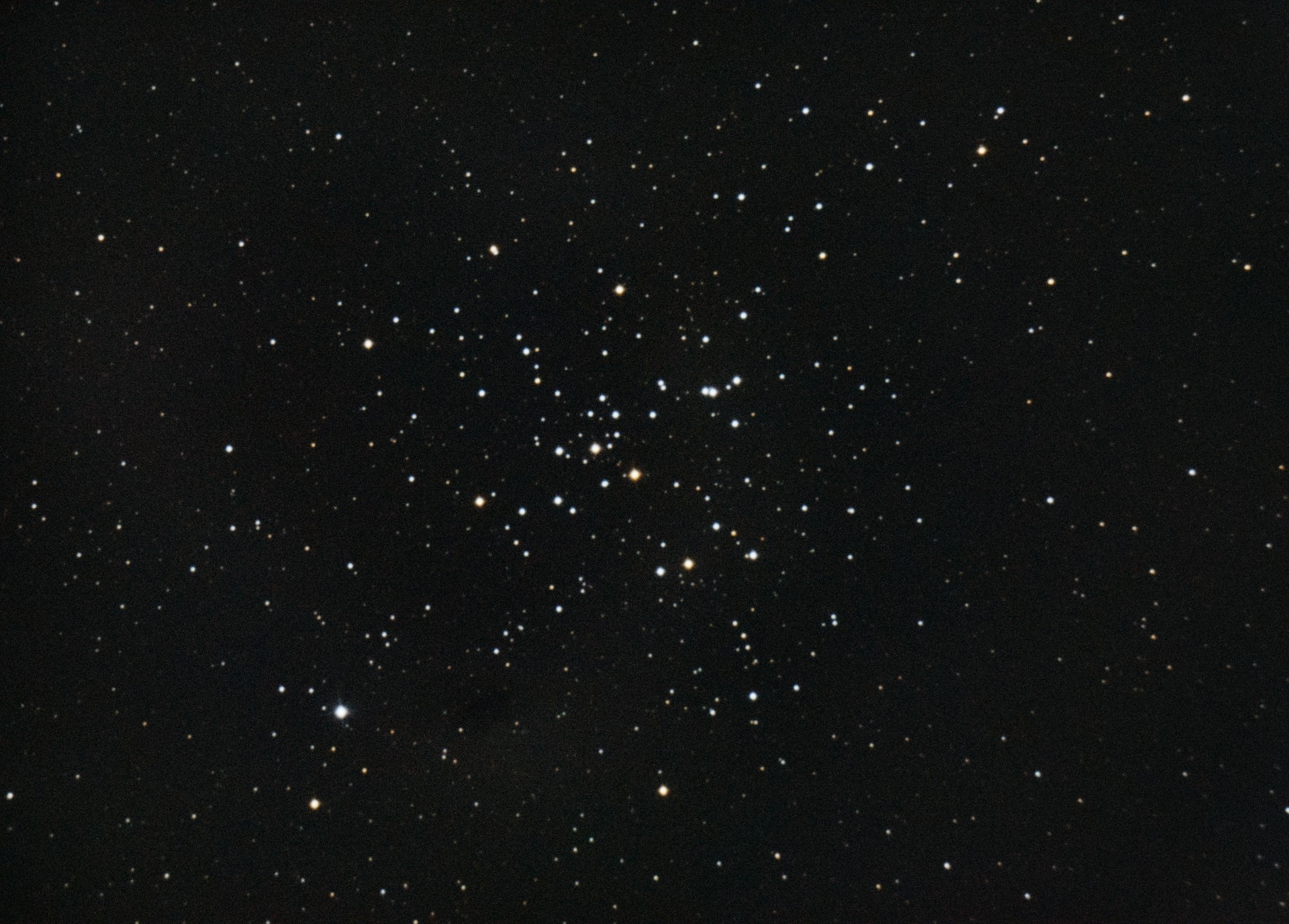 M41.jpg