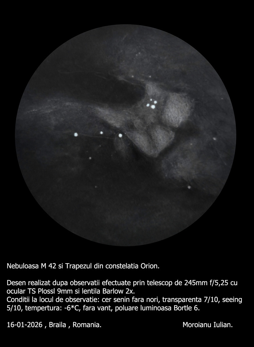 m42-desen2.jpg