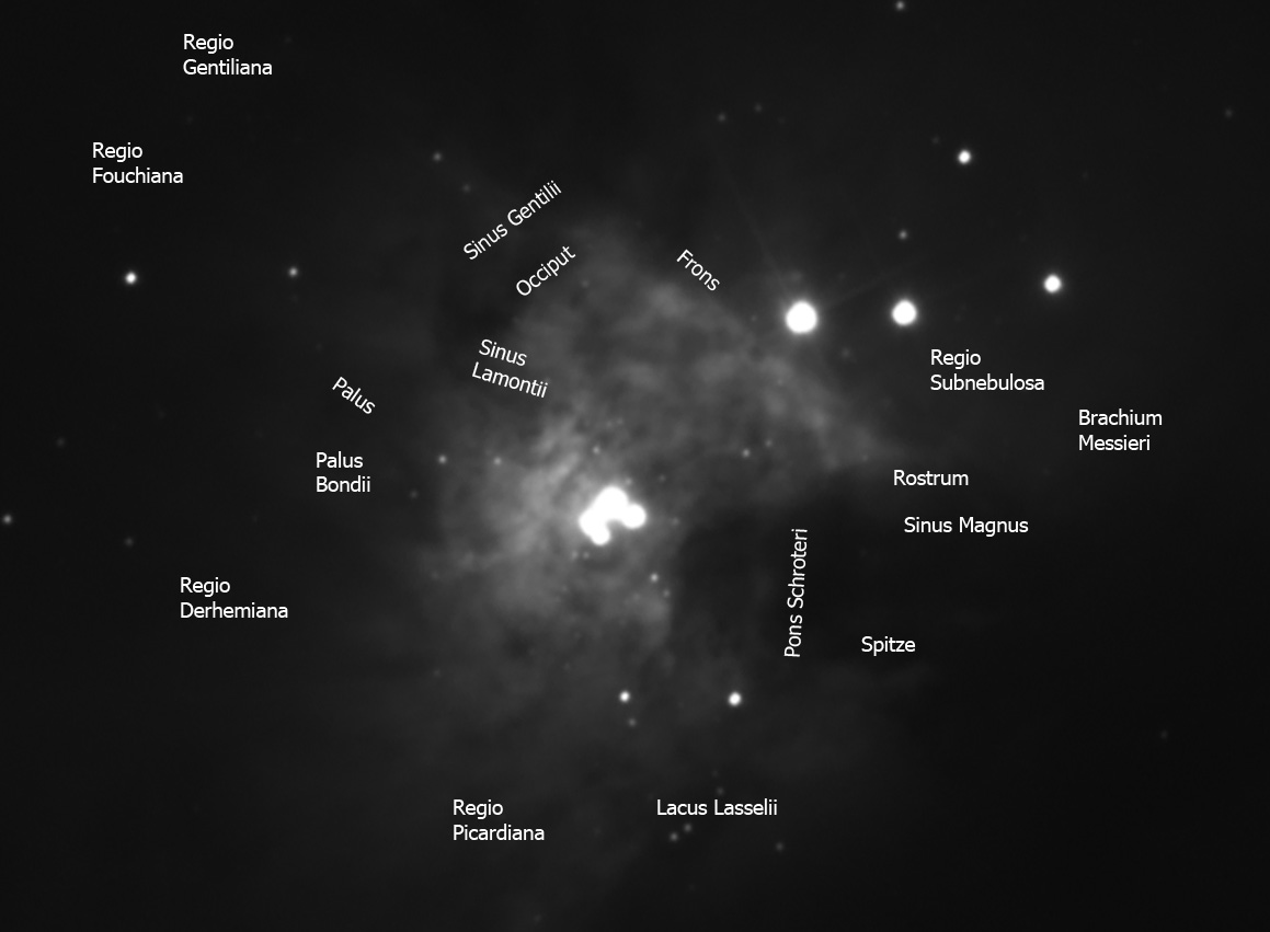 m42-labels-1.jpg