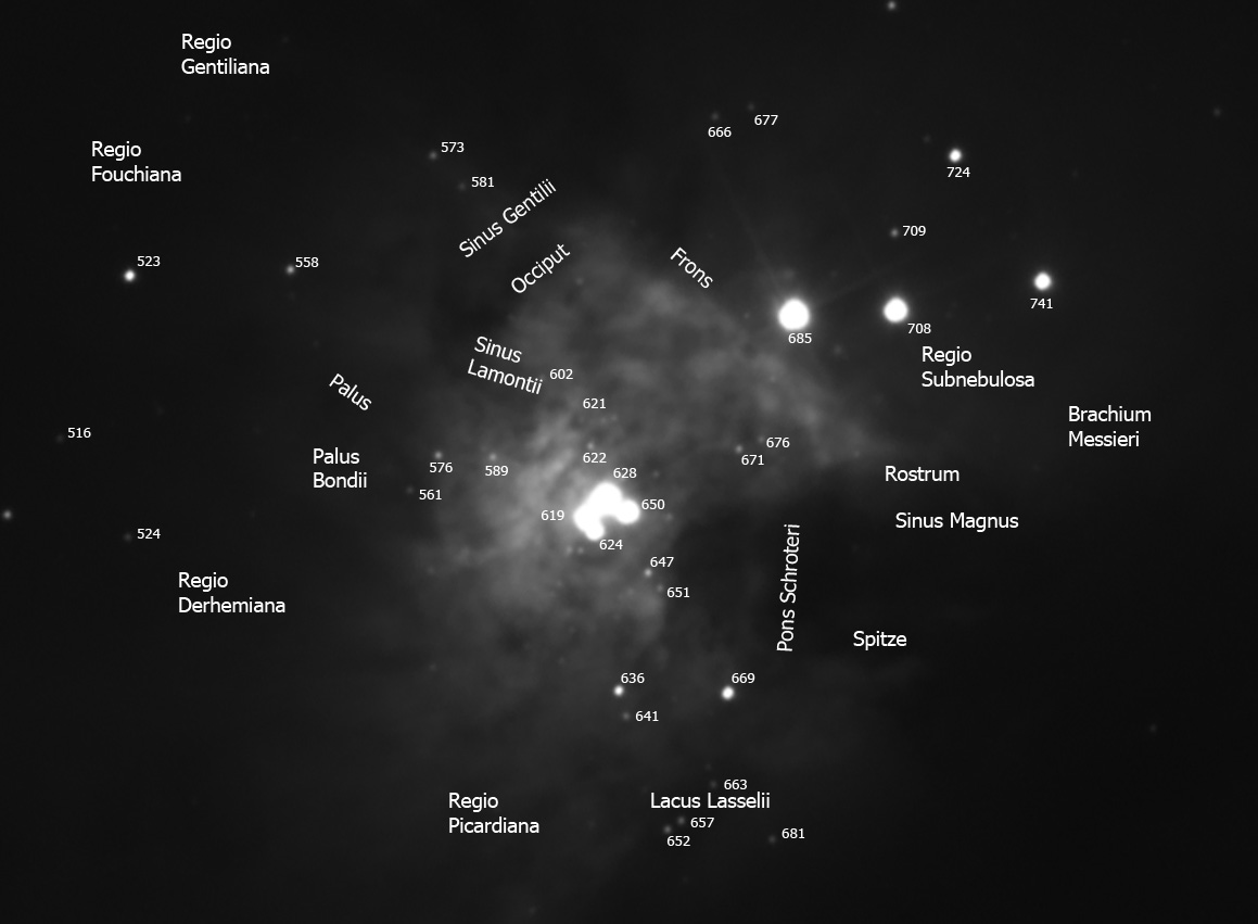 m42-labels-3.jpg