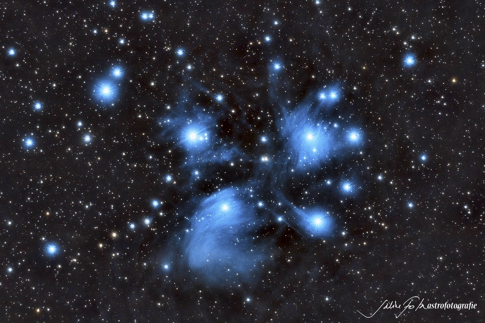 m45_final_web.jpg
