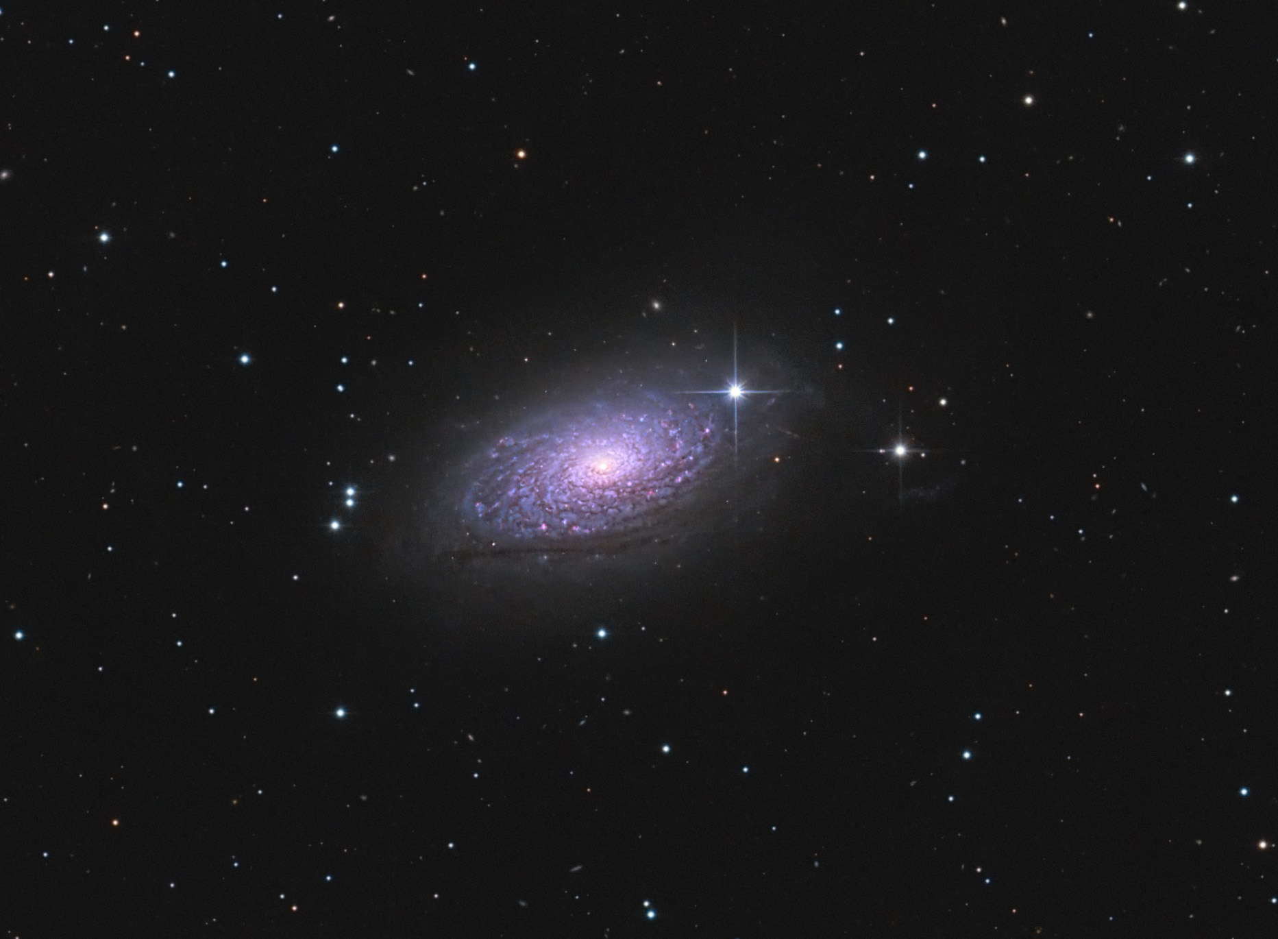 M63_L+OSC_crop.jpg
