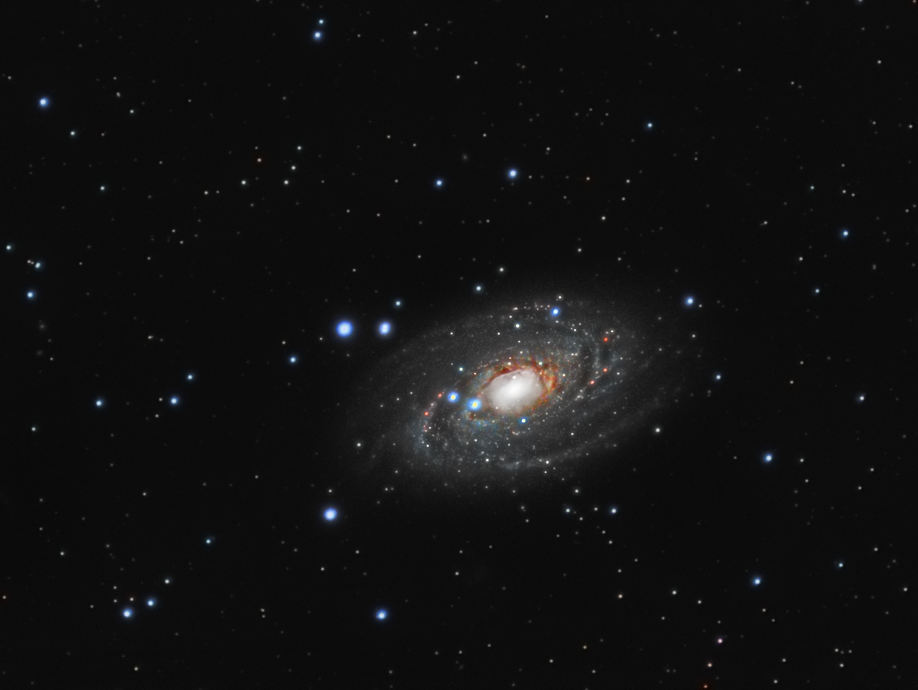 M81-Refractor.jpg