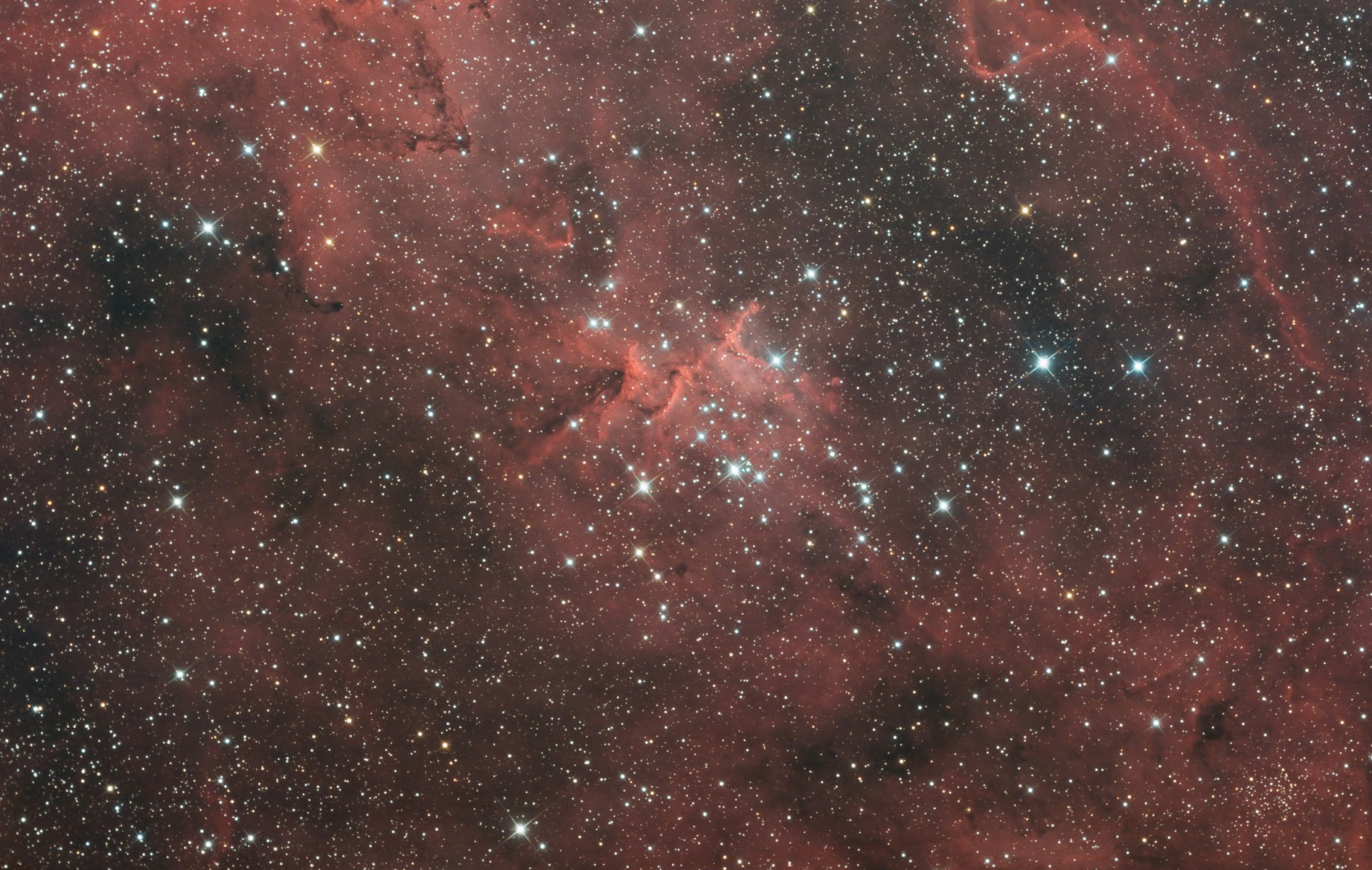 Mellote15_136x300_RRGB.jpg