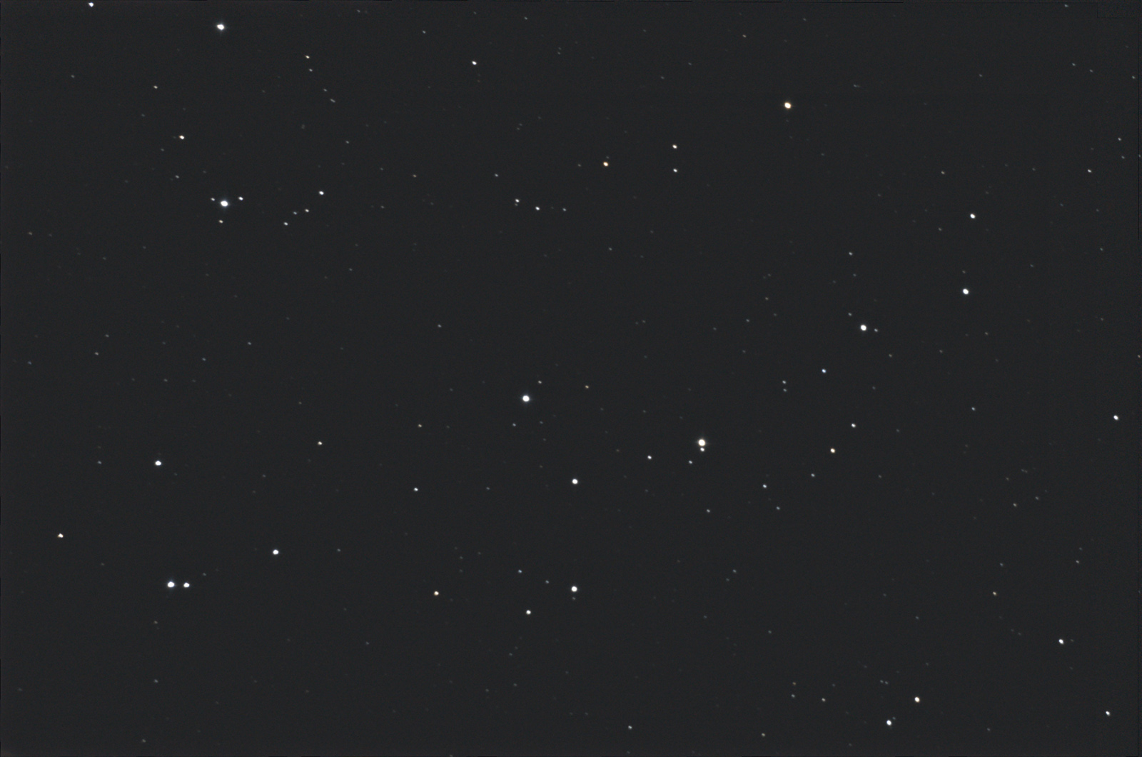 Mellotte111x.jpg