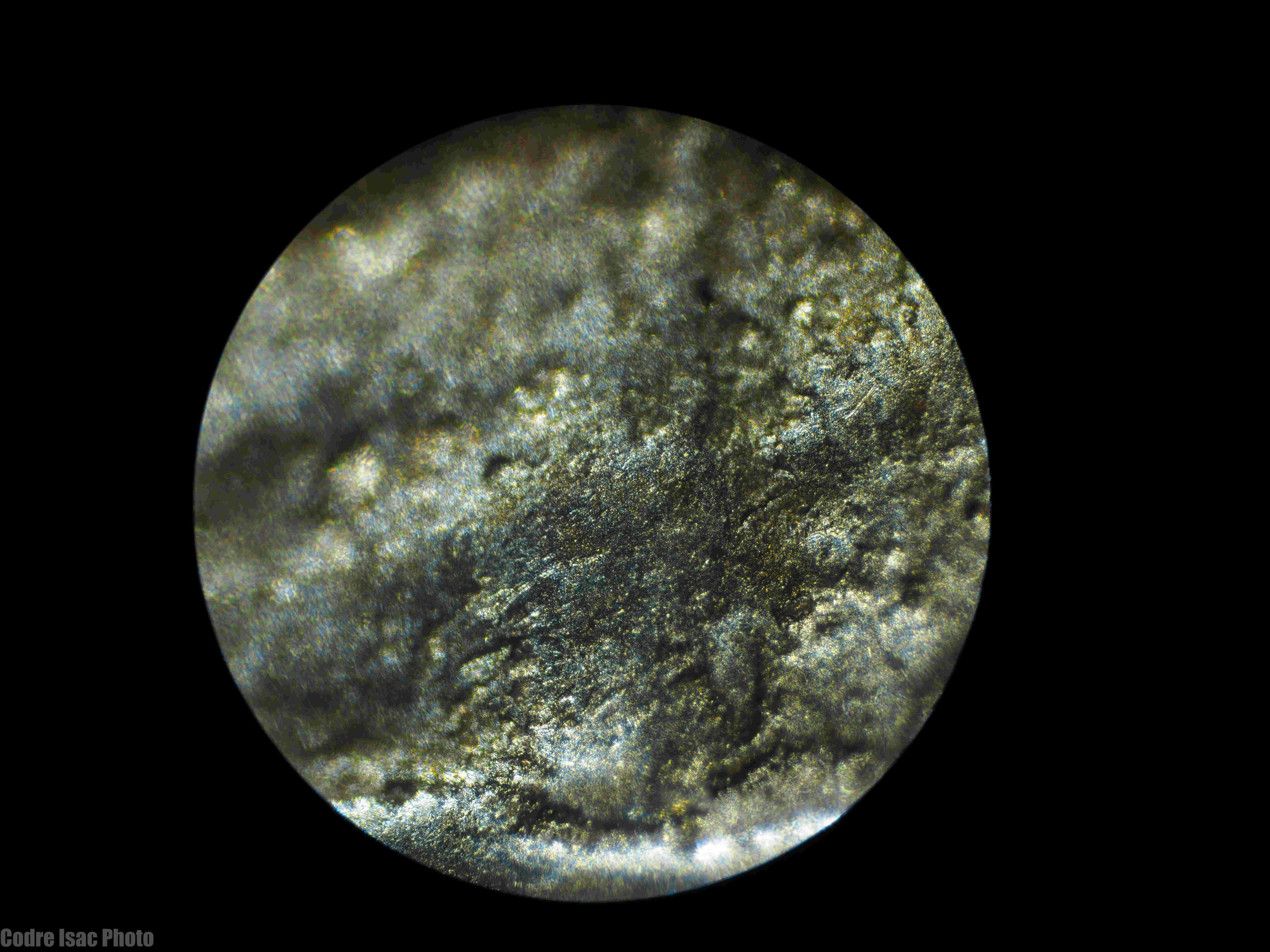 METEORIT campo del cielo micro.jpg