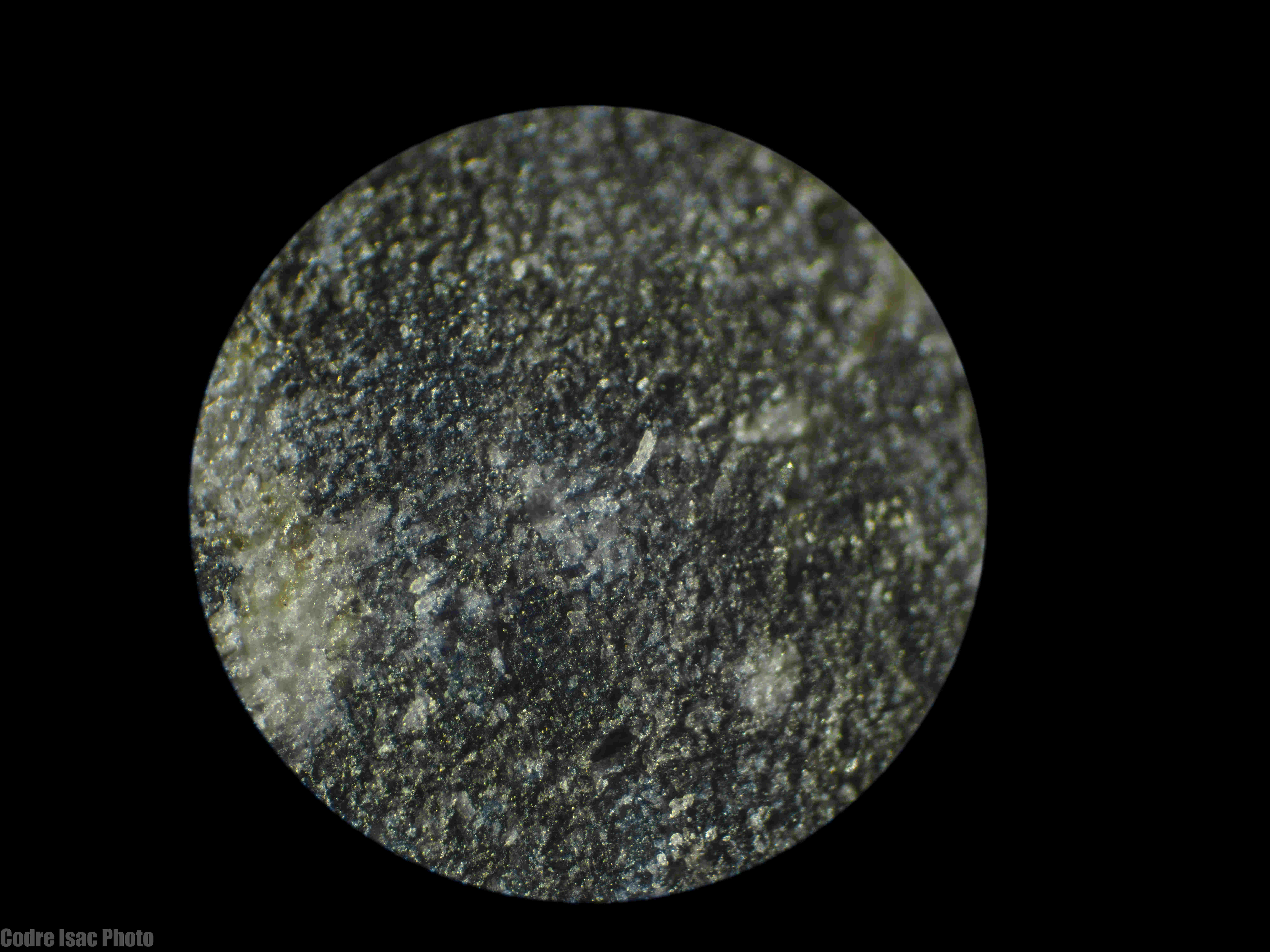 Meteorit lunar micro.jpg