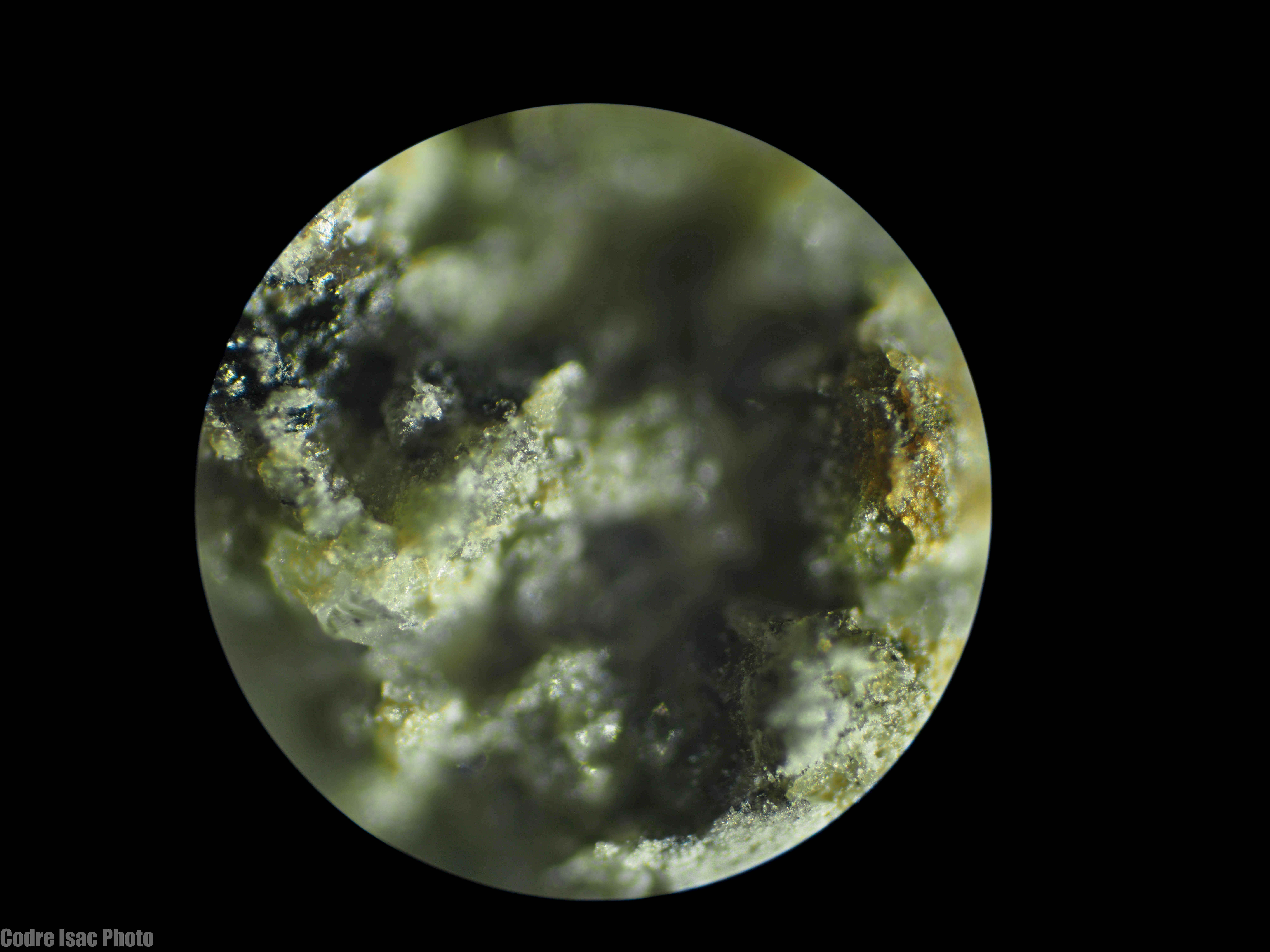 Meteorit martian micro.jpg