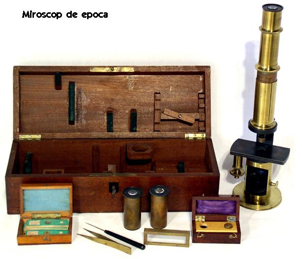 Microscop.JPG