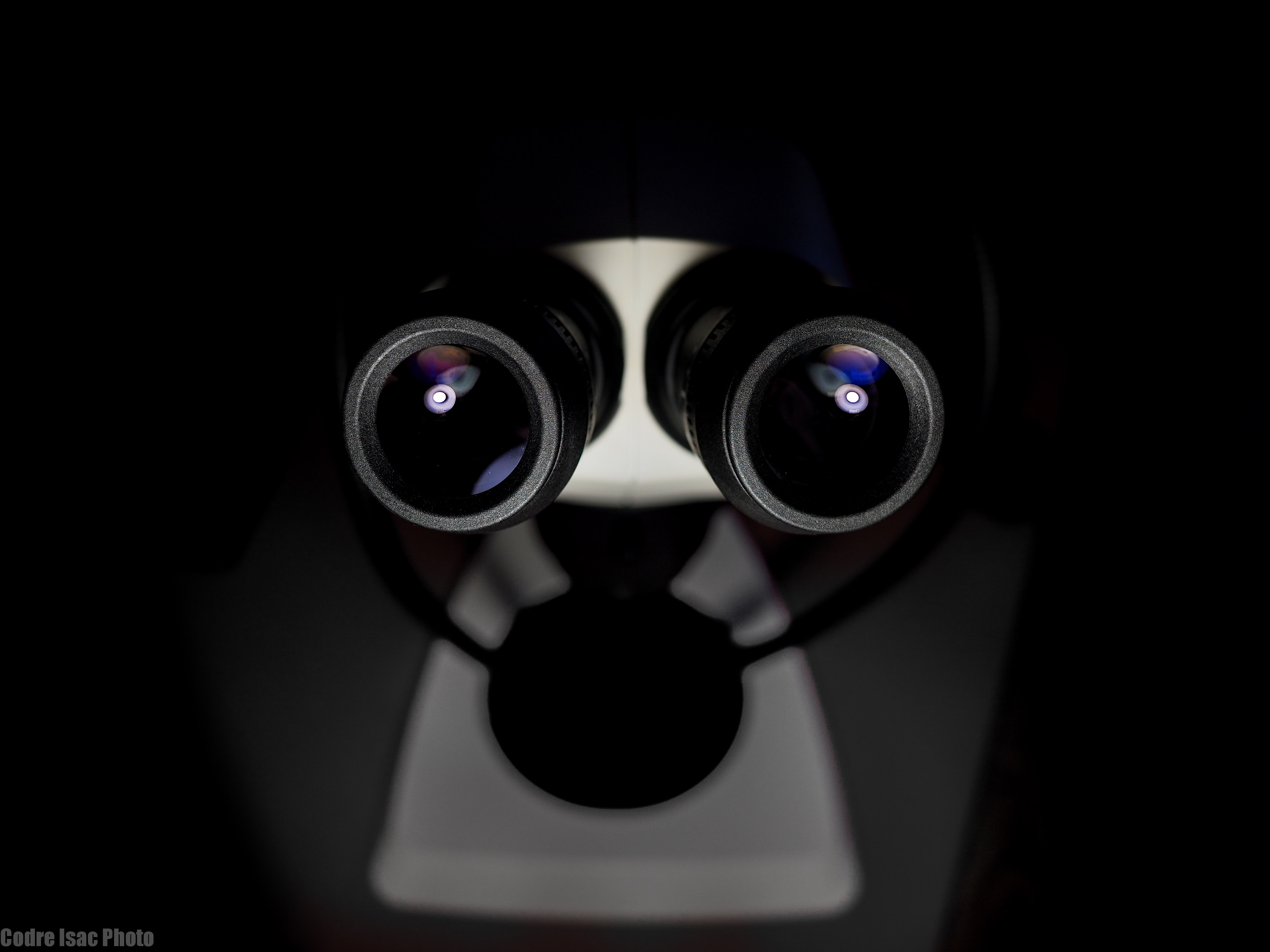 microscop Leica.JPG