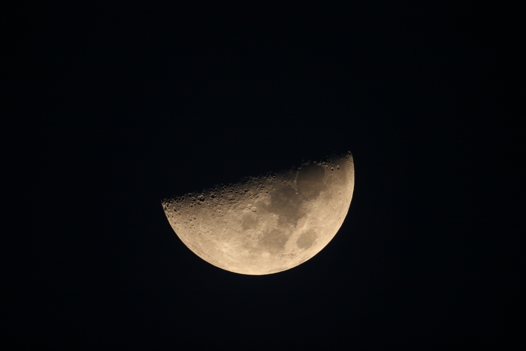 mond1klein.JPG