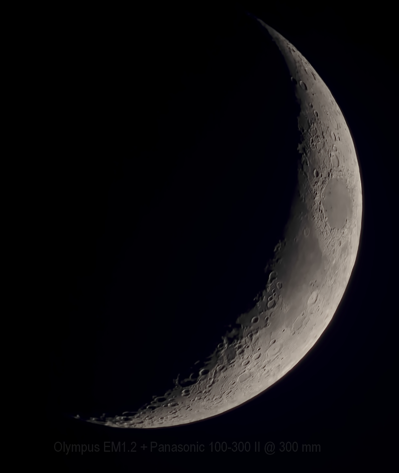 MoonOlyPanny.jpg