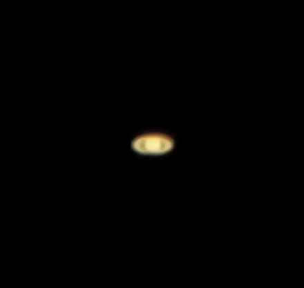 mov_0022_pipp_305.jpg