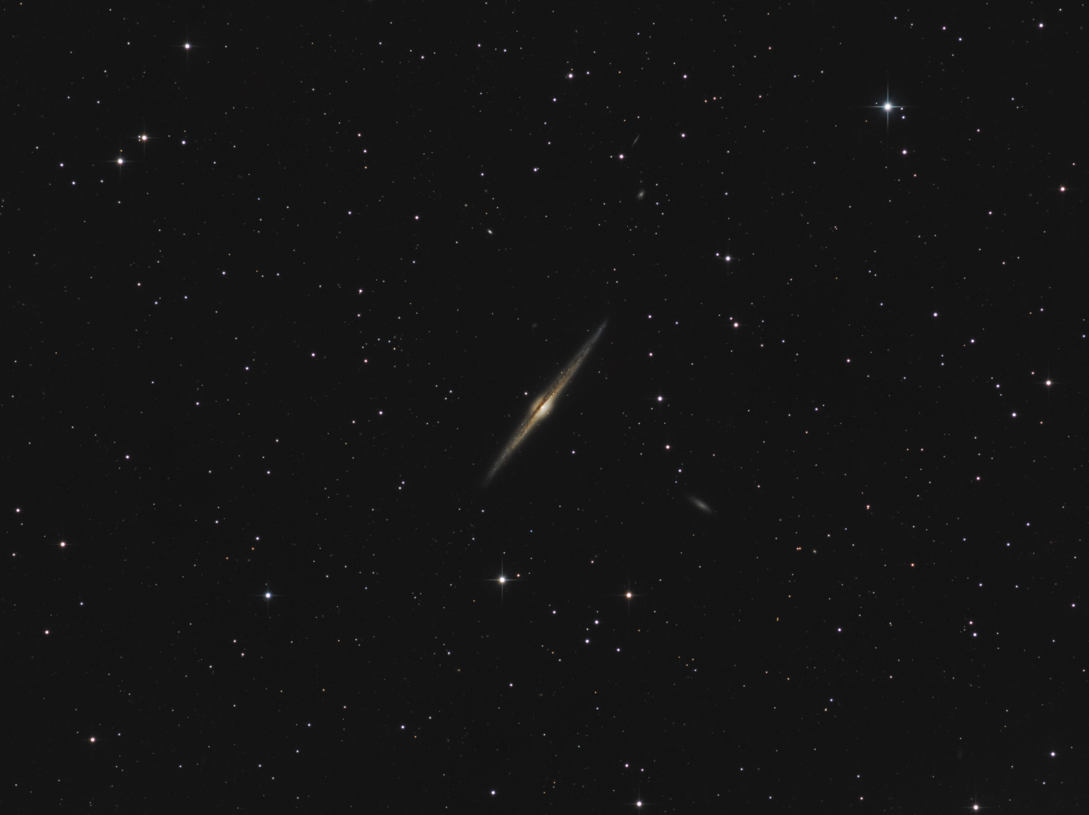 NGC4565_LRGB_v2.jpg