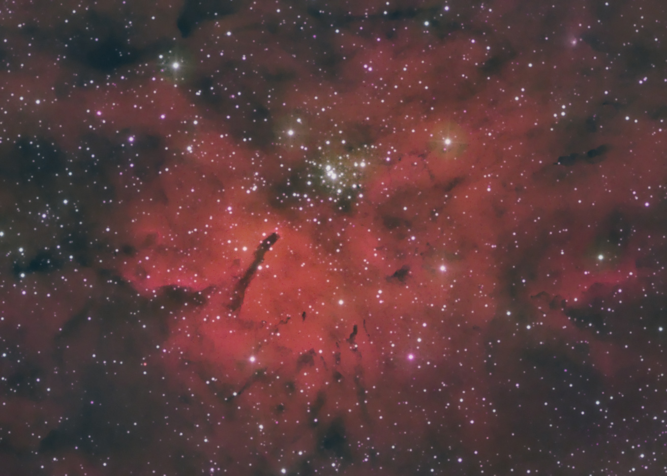 NGC6823_v1.jpg