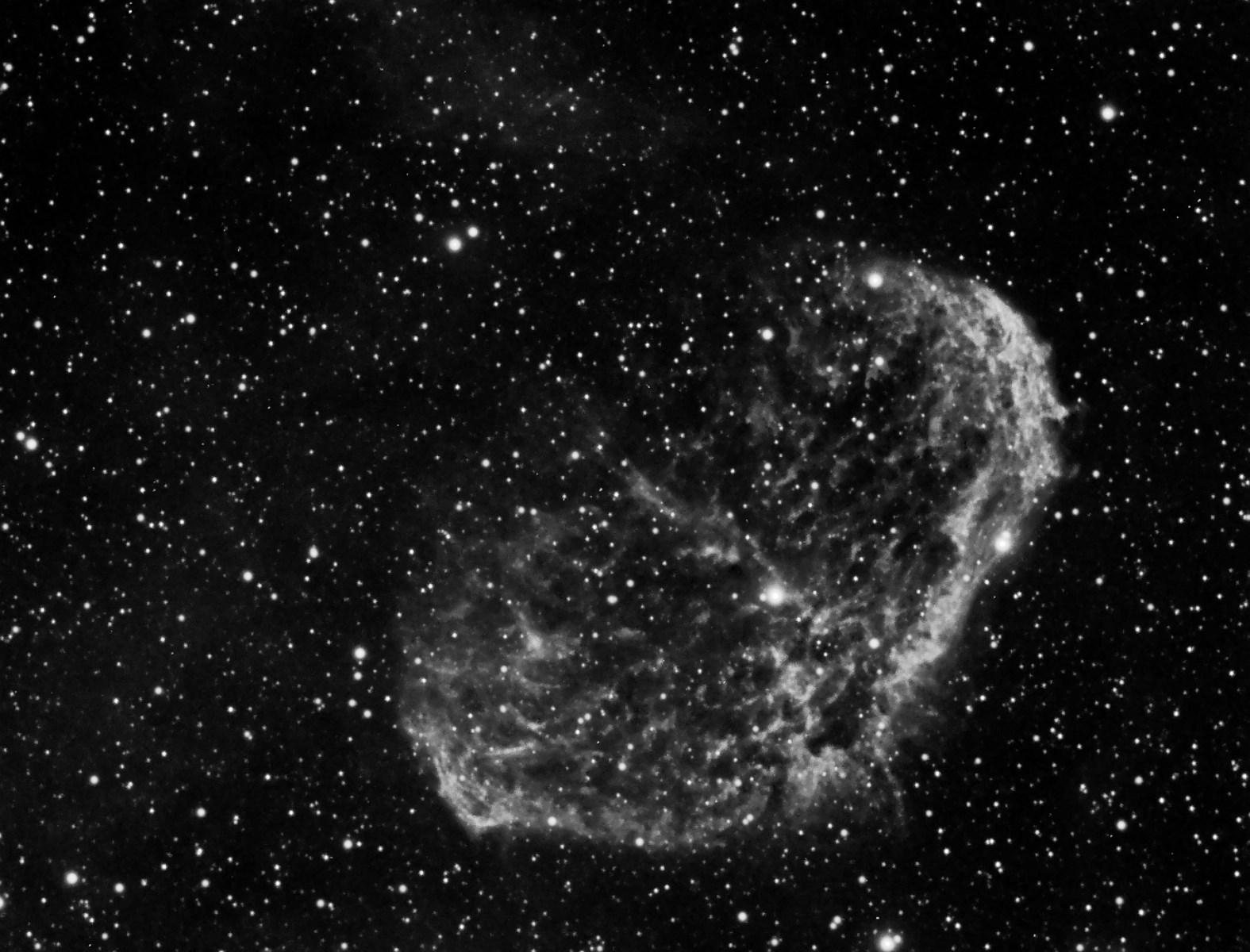 NGC6888 10x300 Ha.jpg