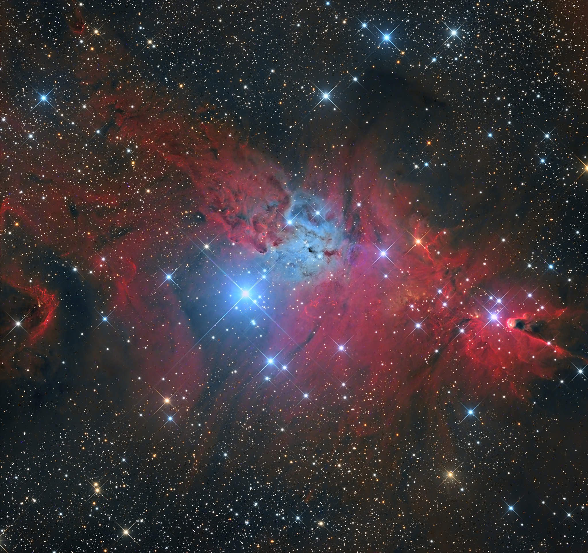 NGC 2264.jpg