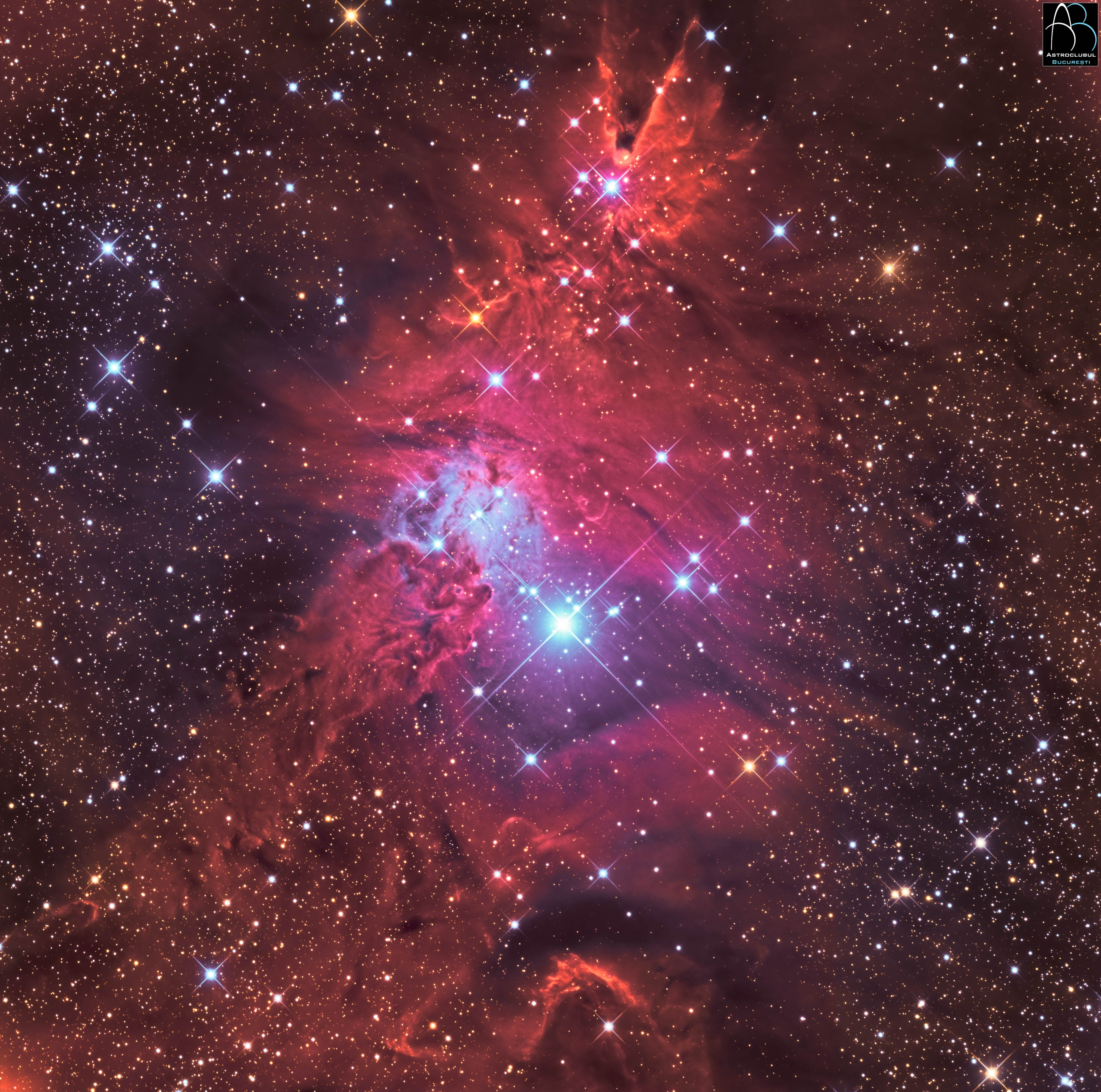 NGC 2264.jpg